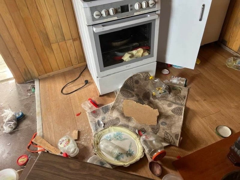 Ayı Hareketliliği: Yaylalarda Kış Uykusundan Sonra Artan Girişimler ve Önlemler