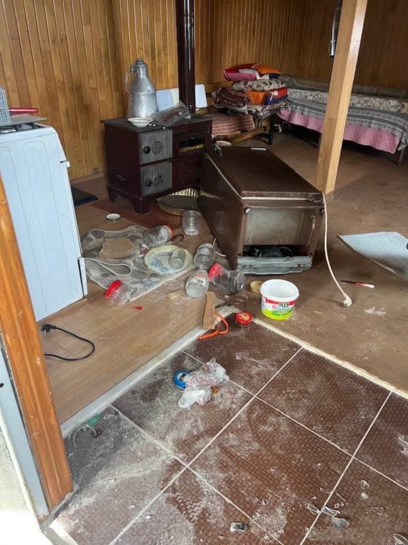 Ayı Hareketliliği: Yaylalarda Kış Uykusundan Sonra Artan Girişimler ve Önlemler