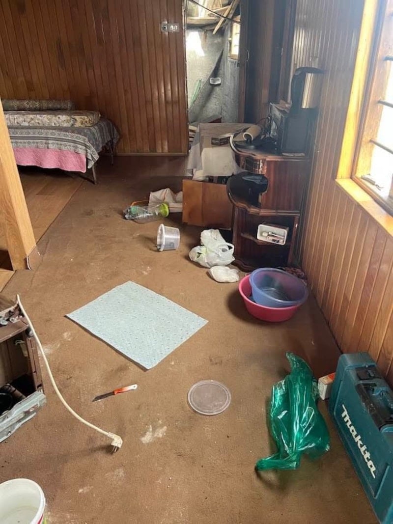 Ayı Hareketliliği: Yaylalarda Kış Uykusundan Sonra Artan Girişimler ve Önlemler