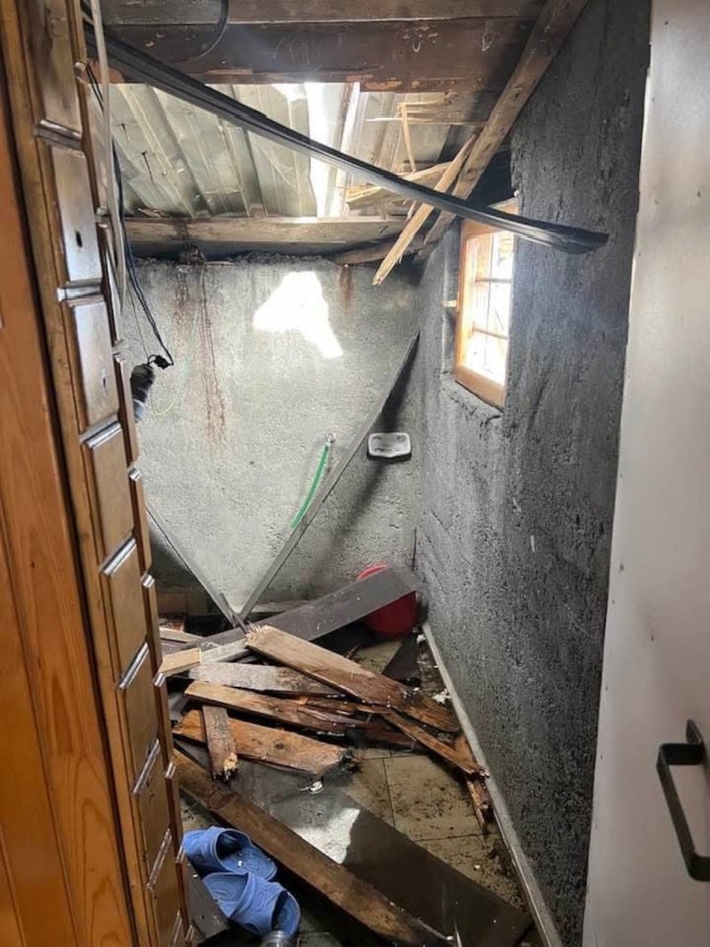 Ayı Hareketliliği: Yaylalarda Kış Uykusundan Sonra Artan Girişimler ve Önlemler