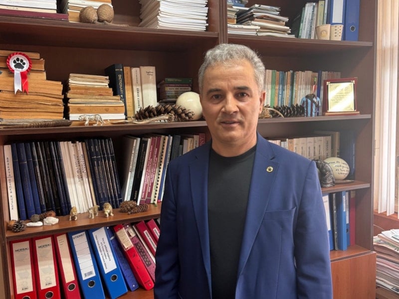 Ayı Hareketliliği: Yaylalarda Kış Uykusundan Sonra Artan Girişimler ve Önlemler