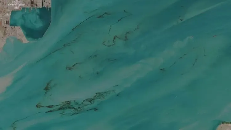 Çevresel Kriz: Körfez Bölgesinde Petrol Sızıntıları ve Etkileri